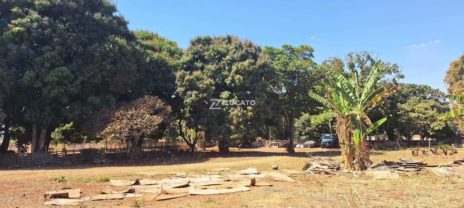 Terreno à venda no Amoroso Costa: 