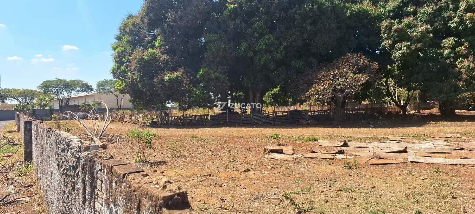 Terreno à venda no Amoroso Costa: 