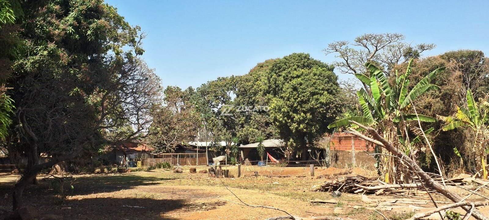 Terreno à venda no Amoroso Costa: 