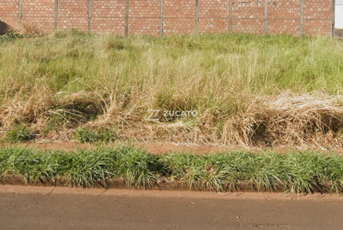 Terreno à venda no Parque das Laranjeiras: 