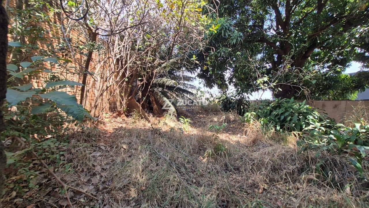 Terreno à venda no Parque das Américas: 