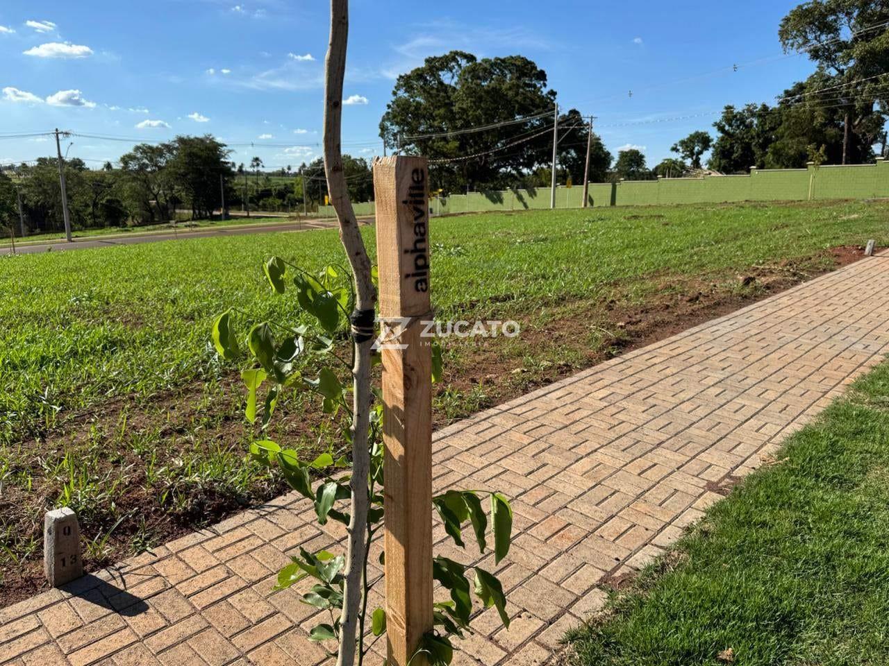Terreno à venda no Recreio dos Bandeirantes: 