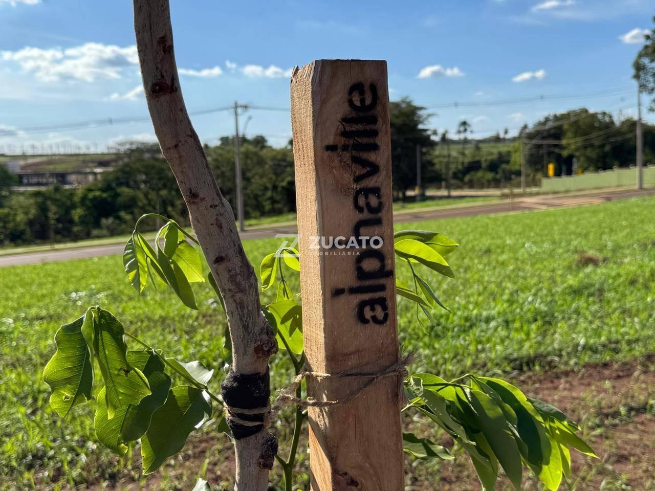 Terreno à venda no Recreio dos Bandeirantes: 