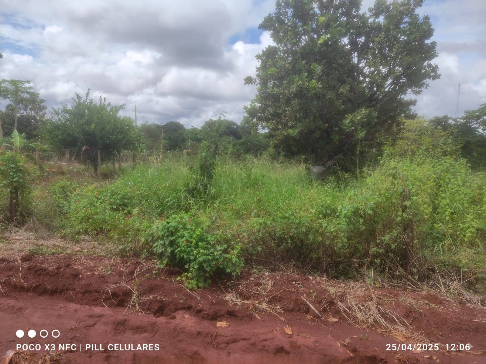 Terreno à venda no Rural: 