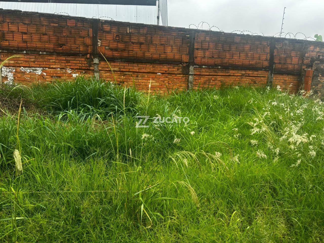 Terreno à venda no Nossa Senhora da Abadia: 