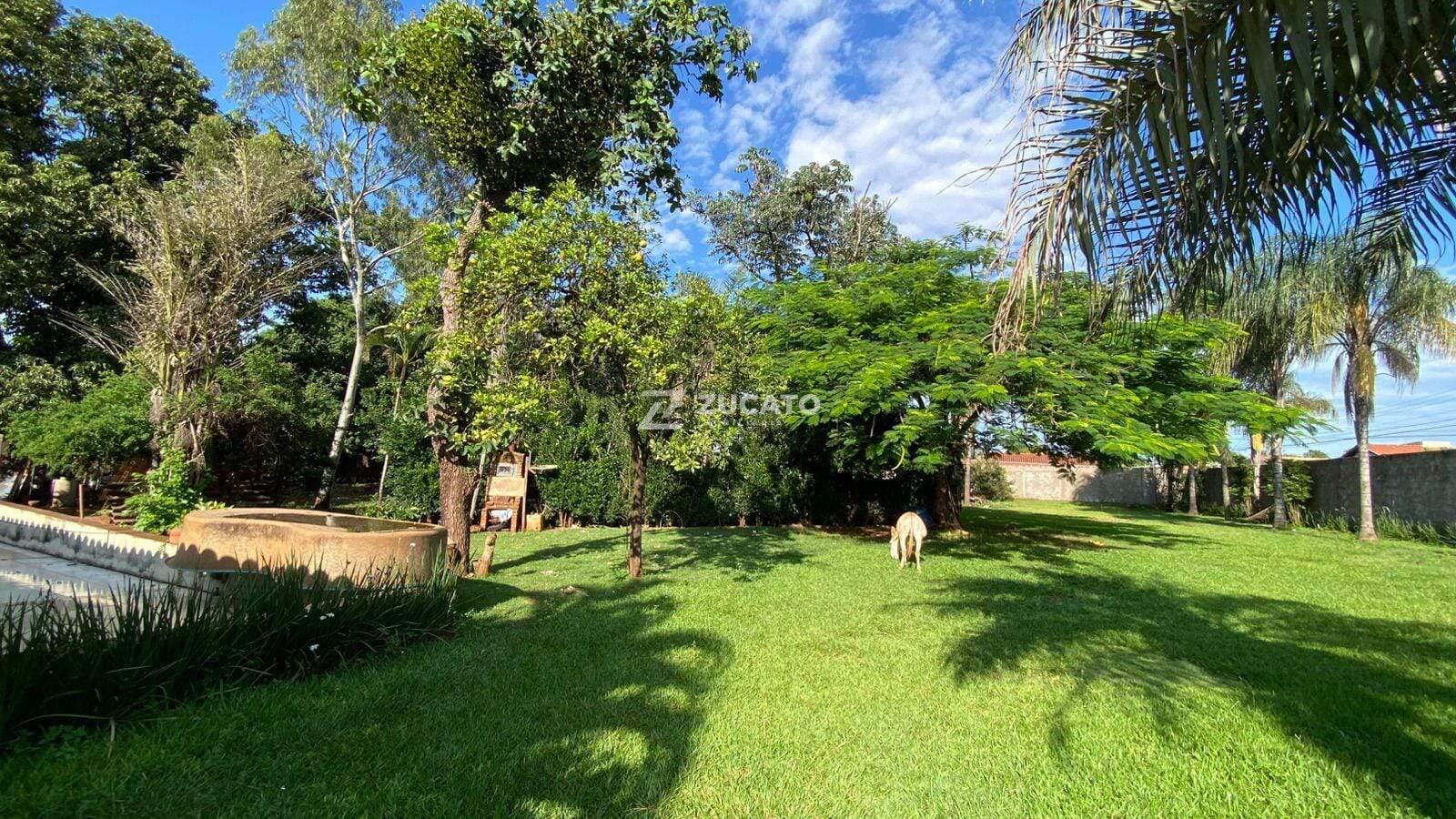 Chácara para aluguel no Lourdes: 