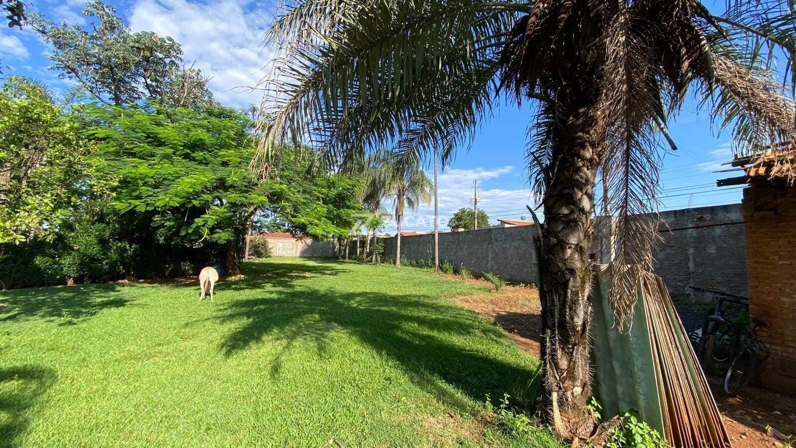 Chácara para aluguel no Lourdes: 