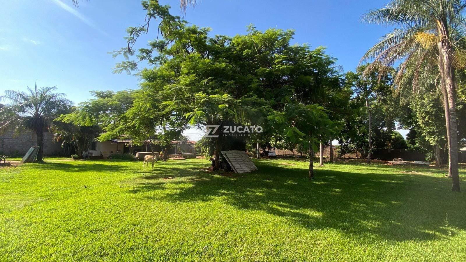 Chácara para aluguel no Lourdes: 