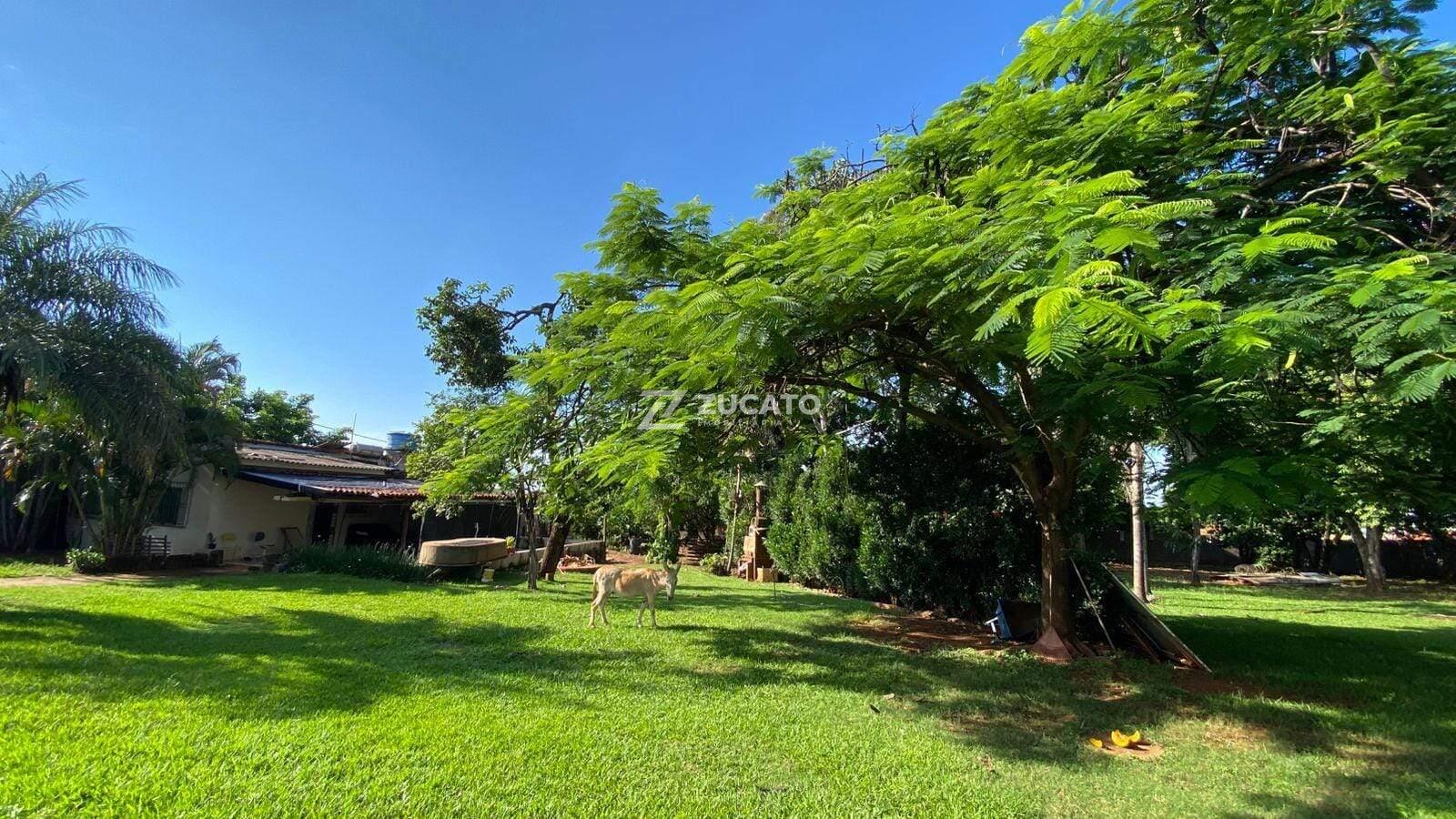 Chácara para aluguel no Lourdes: 