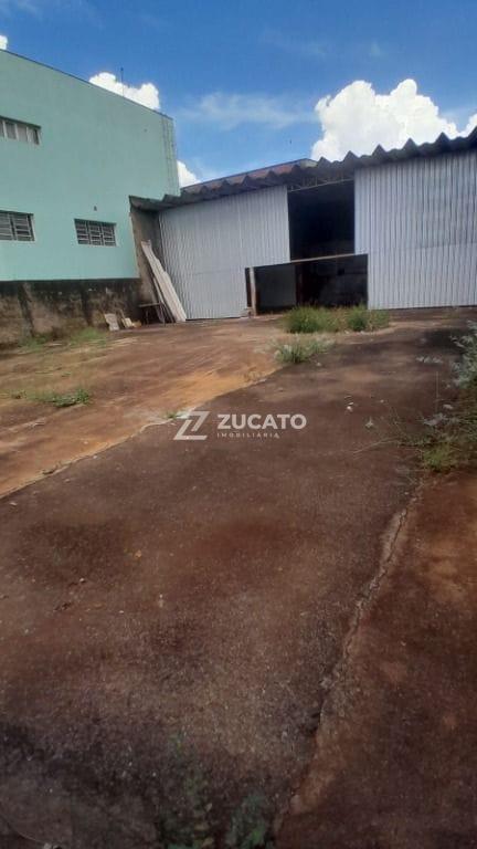 Terreno para aluguel no Cidade Jardim: 