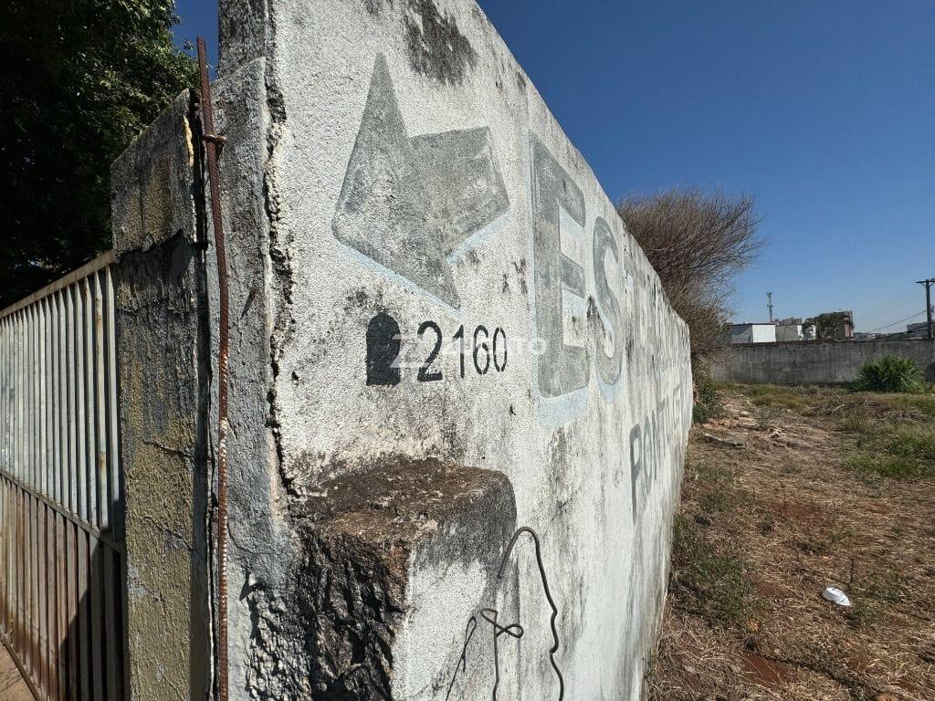 Terreno para aluguel no Santos Dumont: 