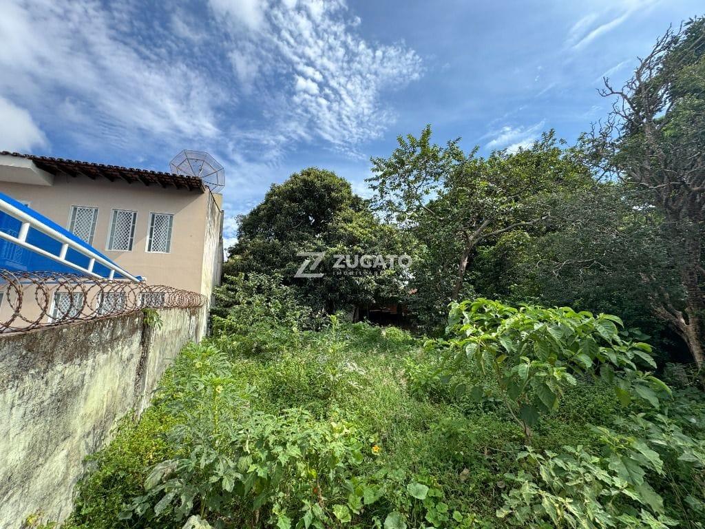 Terreno para aluguel no Centro: 