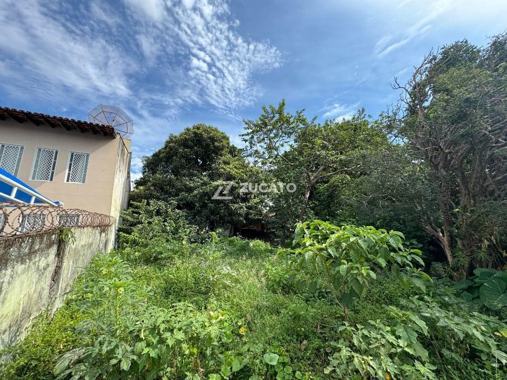 Terreno para aluguel no Centro: 