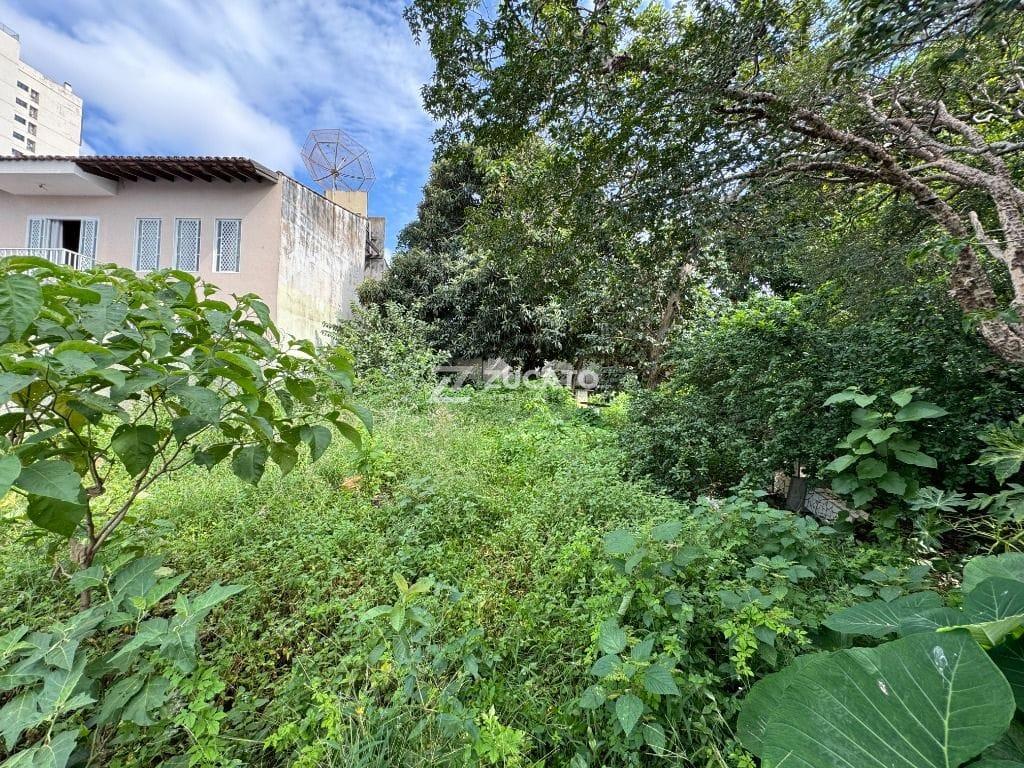 Terreno para aluguel no Centro: 